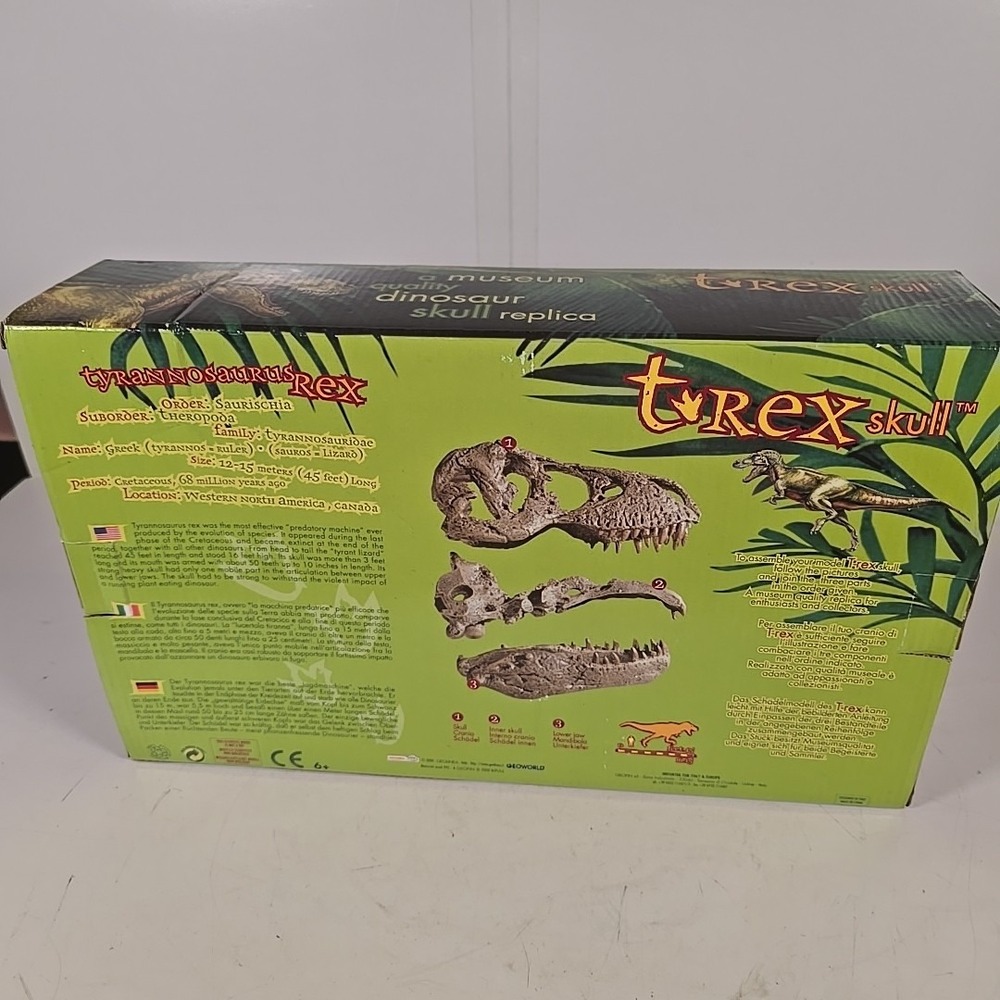 Geolinea Fossil Replicas T-Rex Dinosaur Skull High‎ Definition 1:10 Replica - Picture 11 of 13